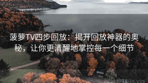 菠萝TV四步回放：揭开回放神器的奥秘，让你更清醒地掌控每一个细节
