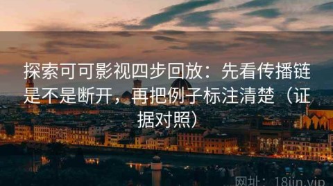 探索可可影视四步回放：先看传播链是不是断开，再把例子标注清楚（证据对照）