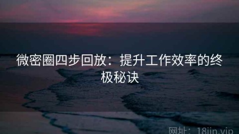 微密圈四步回放：提升工作效率的终极秘诀