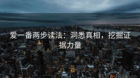 爱一番两步读法：洞悉真相，挖掘证据力量
