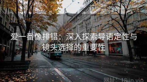 爱一番像排错：深入探索导语定性与镜头选择的重要性