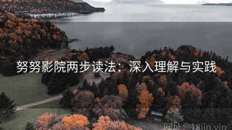 努努影院两步读法：深入理解与实践