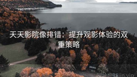 天天影院像排错：提升观影体验的双重策略