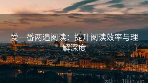 爱一番两遍阅读：提升阅读效率与理解深度
