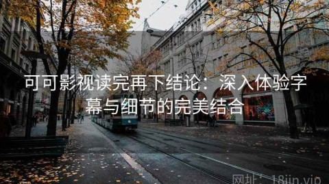 可可影视读完再下结论：深入体验字幕与细节的完美结合