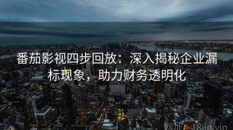 番茄影视四步回放：深入揭秘企业漏标现象，助力财务透明化
