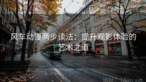 风车动漫两步读法：提升观影体验的艺术之道