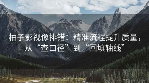 柚子影视像排错：精准流程提升质量，从“查口径”到“回填轴线”