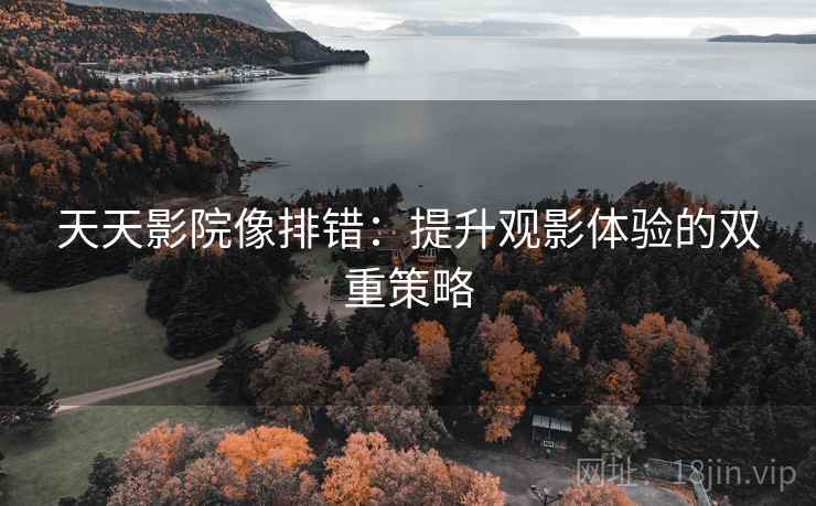 天天影院像排错：提升观影体验的双重策略