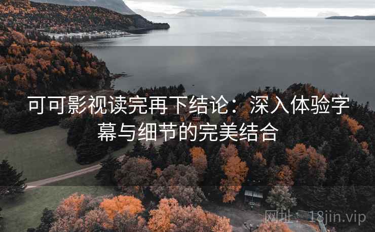 可可影视读完再下结论：深入体验字幕与细节的完美结合