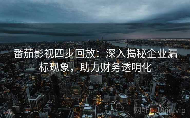 番茄影视四步回放：深入揭秘企业漏标现象，助力财务透明化