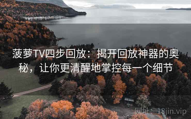 菠萝TV四步回放：揭开回放神器的奥秘，让你更清醒地掌控每一个细节